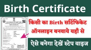 Birth Certificate Make Online