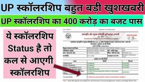 up scholarship new