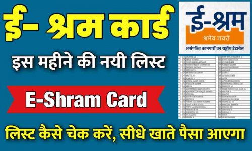 E Shram Card Pay Check