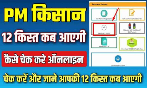 PM Kisan Check Status