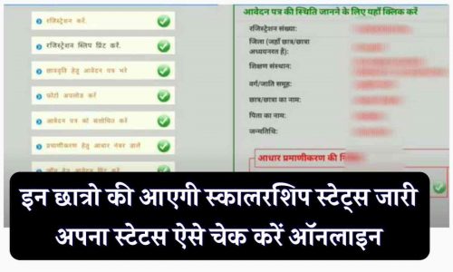 Scholarship Status 2023