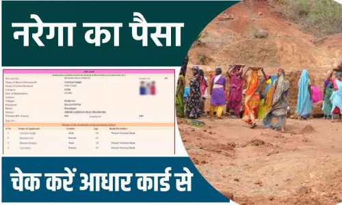 Narega Payment Status