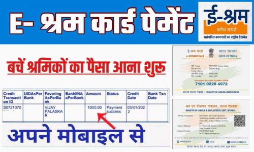 Shram Card Check Status