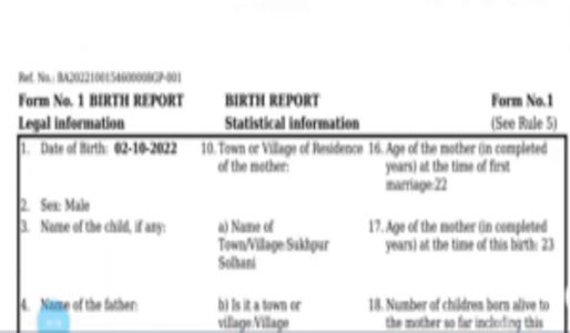 Birth Certificate 2023