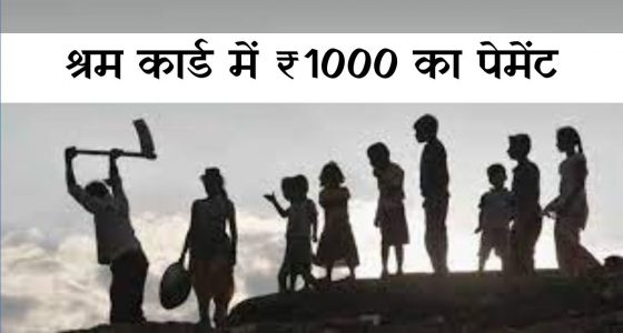 श्रम कार्ड, E-Shram Card