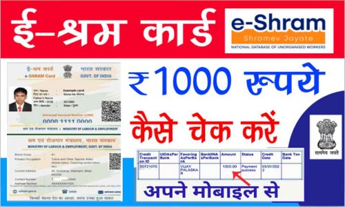 e shram card new june update