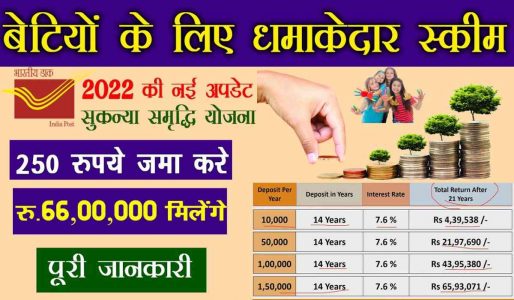 ssy sarkari job find