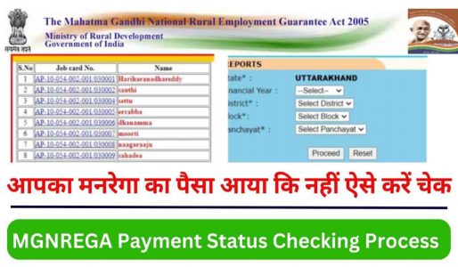 narega payment check