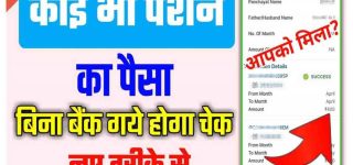 pension money sarkari job find