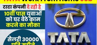 Tata Steel Work From Home Job
