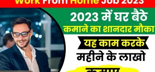 Work From Home Job 2023
