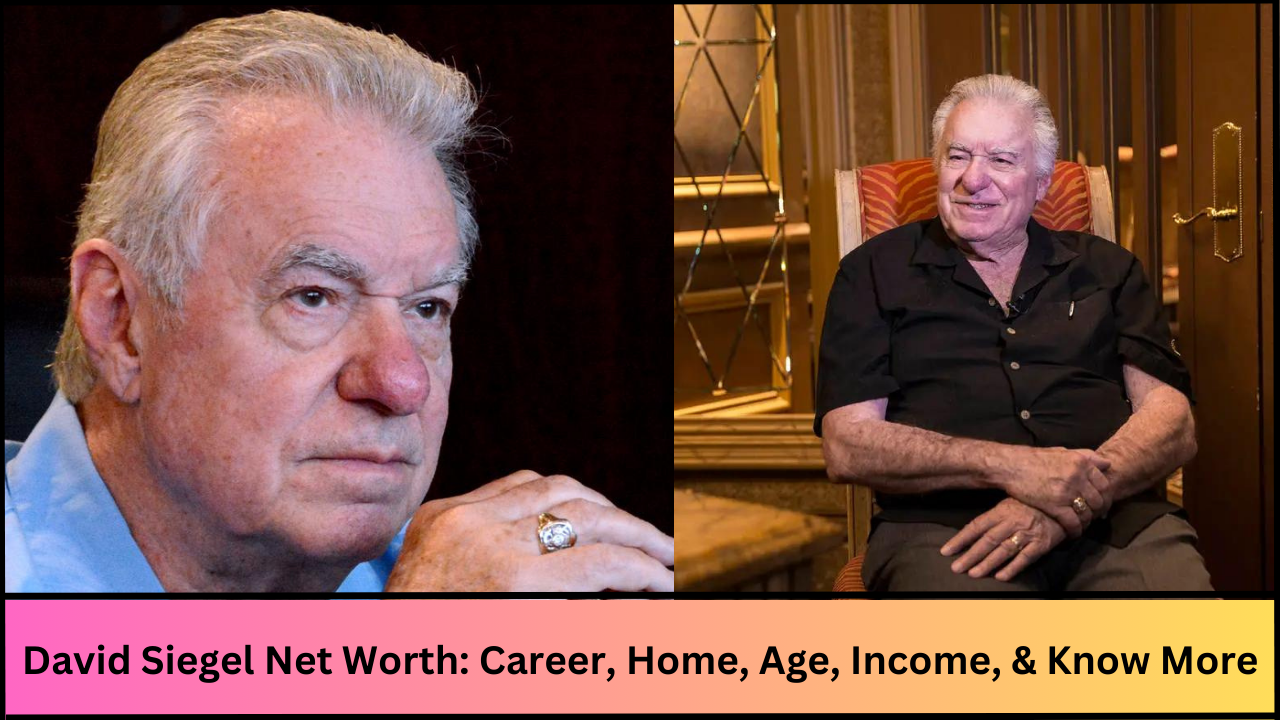 David Siegel Net Worth: Career, Home, Age, Income, All You Need to Know