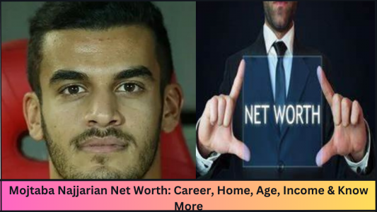 Mojtaba Najjarian Net Worth: Career, Home, Age, Income & Know More